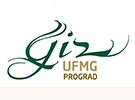 Logo giz - Diretoria de inovação e metodologias de ensino da UFMG